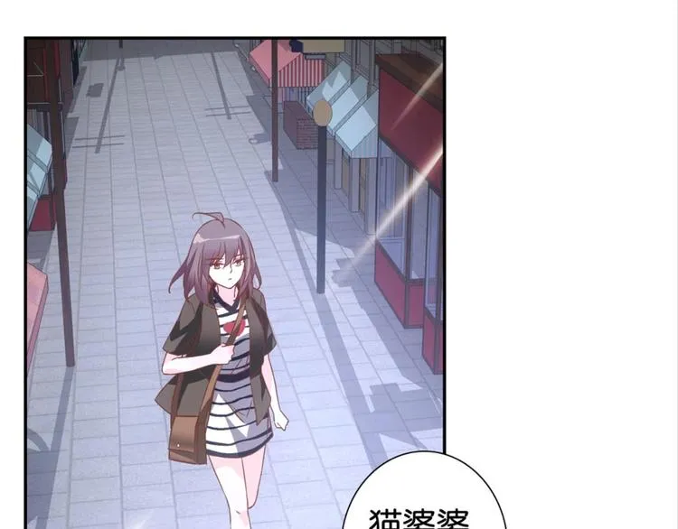 第31话：猫雀之争——寻猫婆婆 第47页