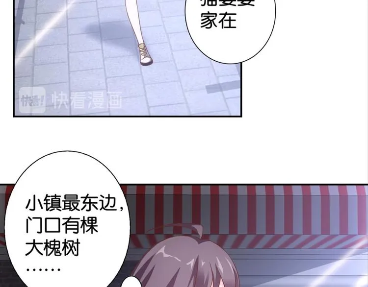 第31话：猫雀之争——寻猫婆婆 第48页