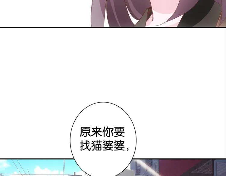 第31话：猫雀之争——寻猫婆婆 第91页