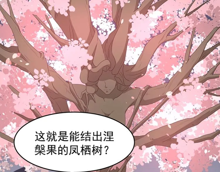 第34话 涅槃果 第19页