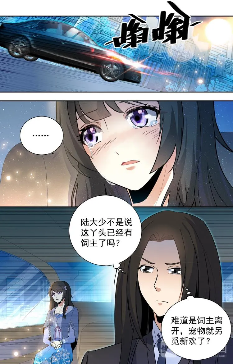 第15话 离开的决心 第6页