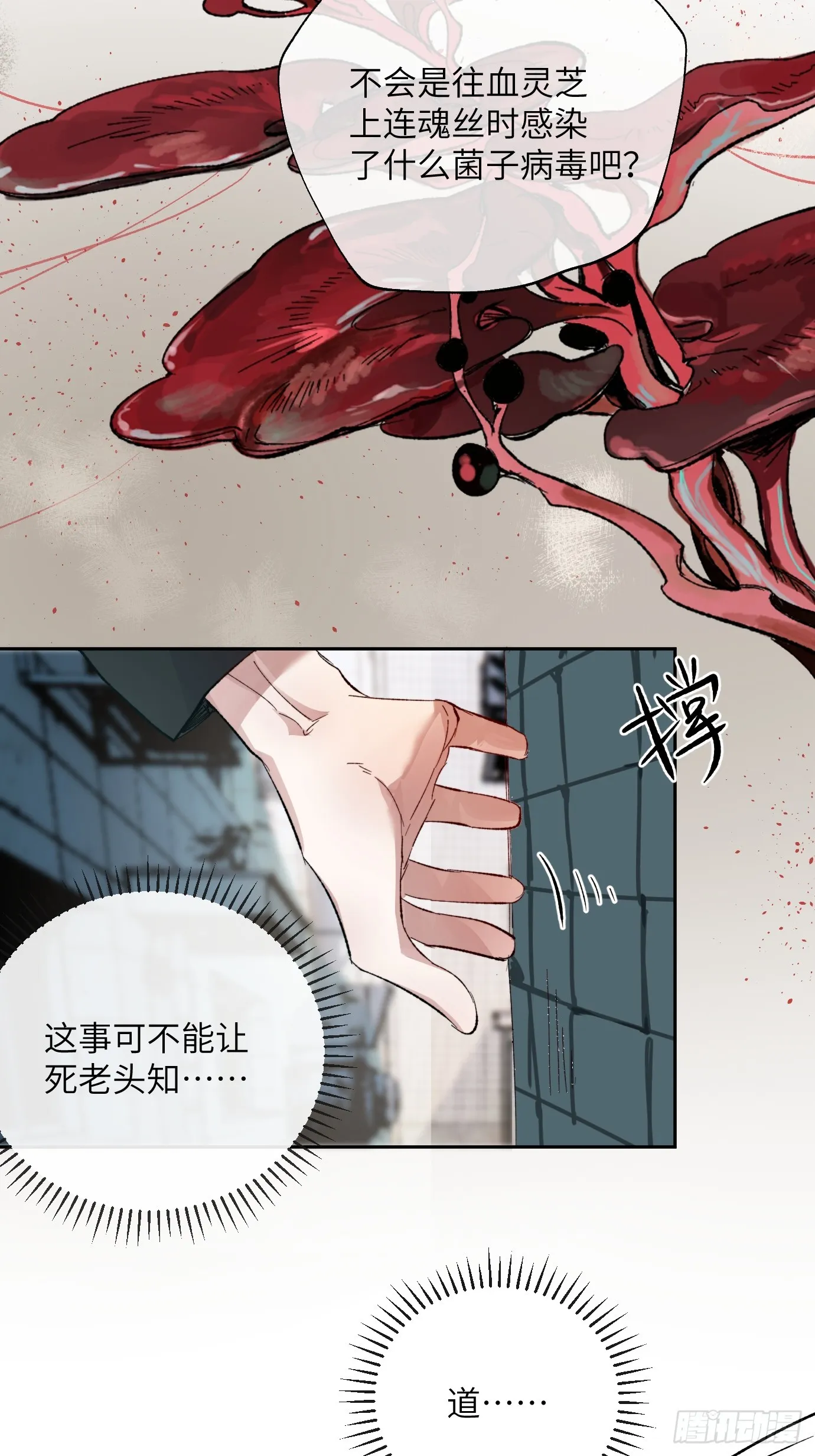 第20话 失踪的修士 第51页