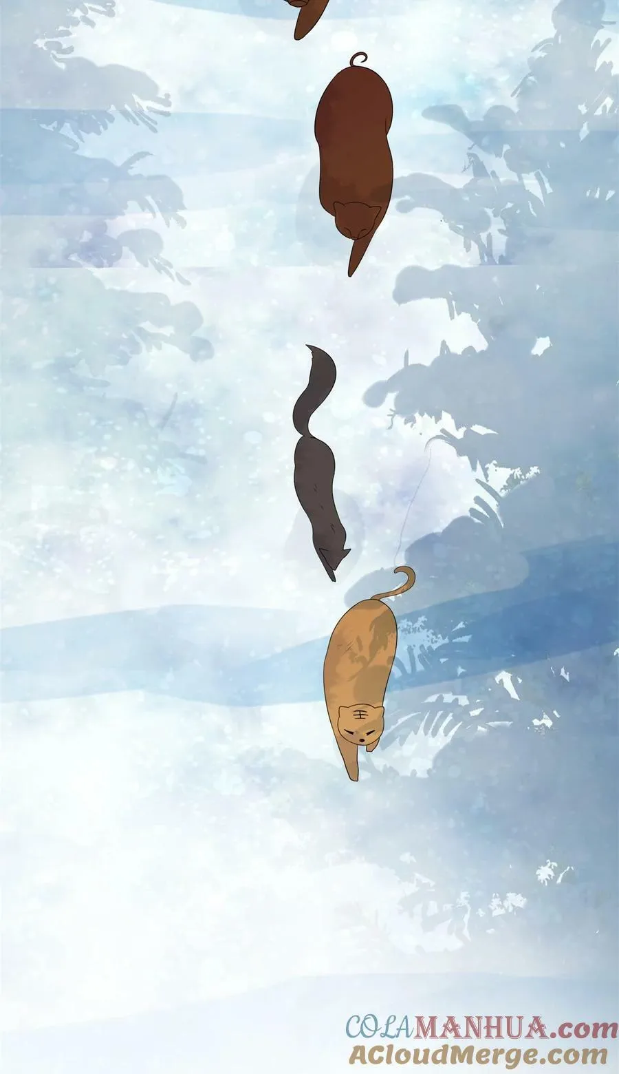 138 我们赢了 第25页