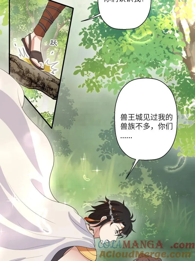 219 213话 重逢 第37页