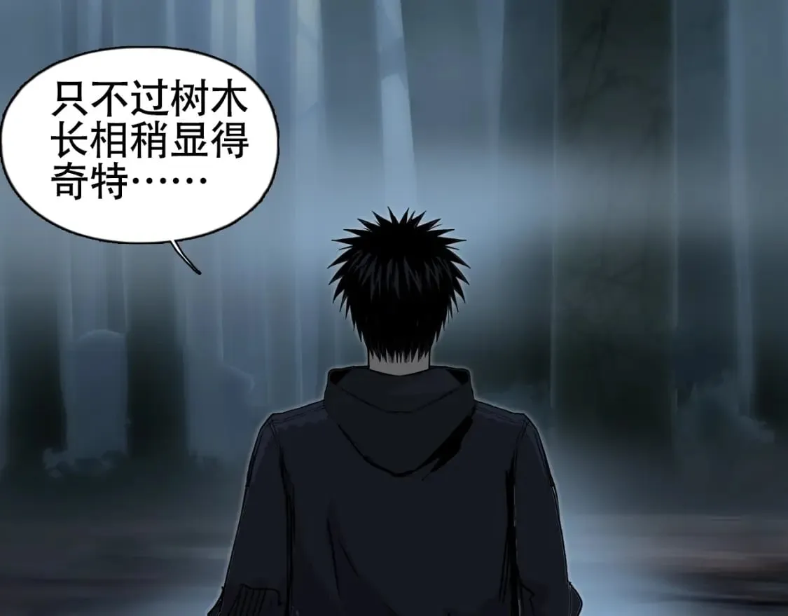 第314话 大领主模板 第37页