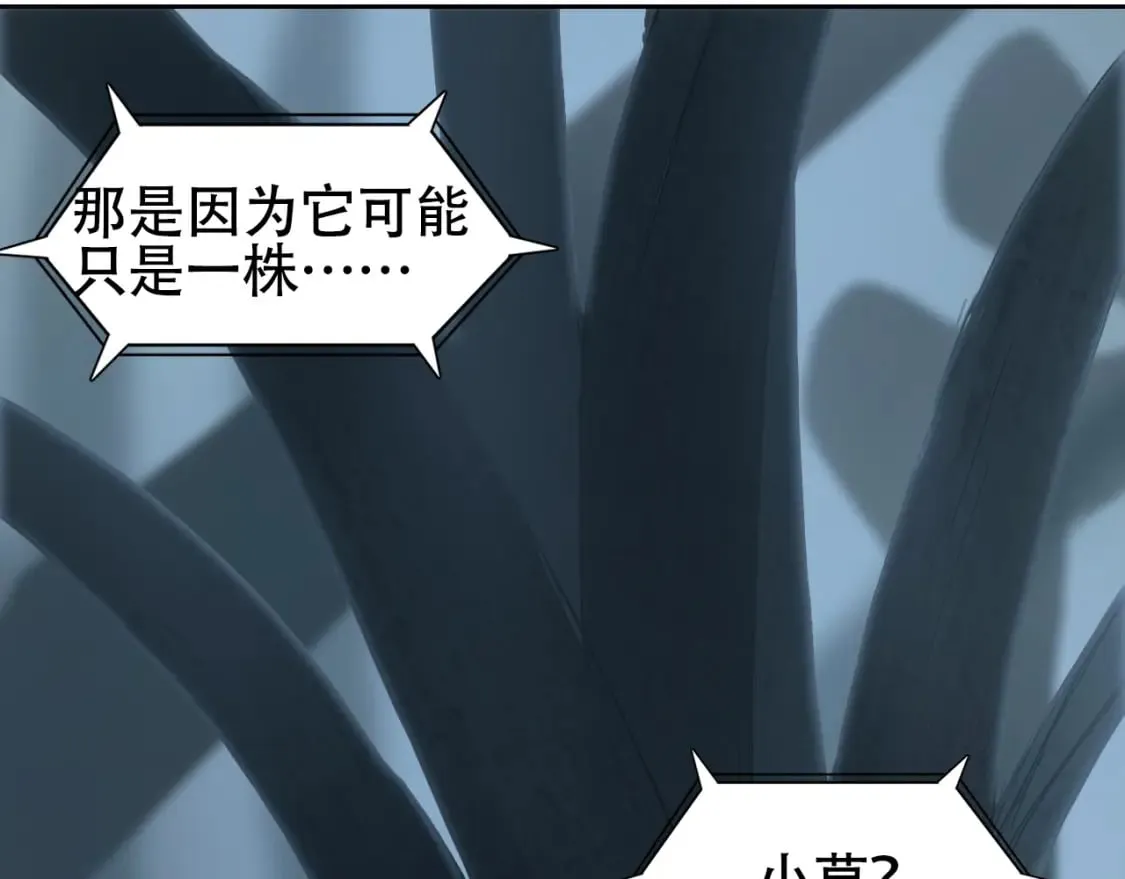 第314话 大领主模板 第40页