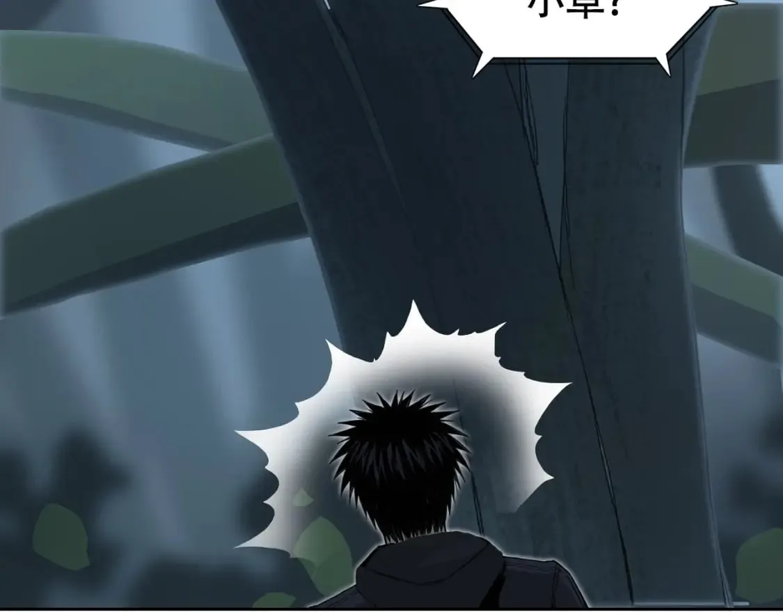 第314话 大领主模板 第41页