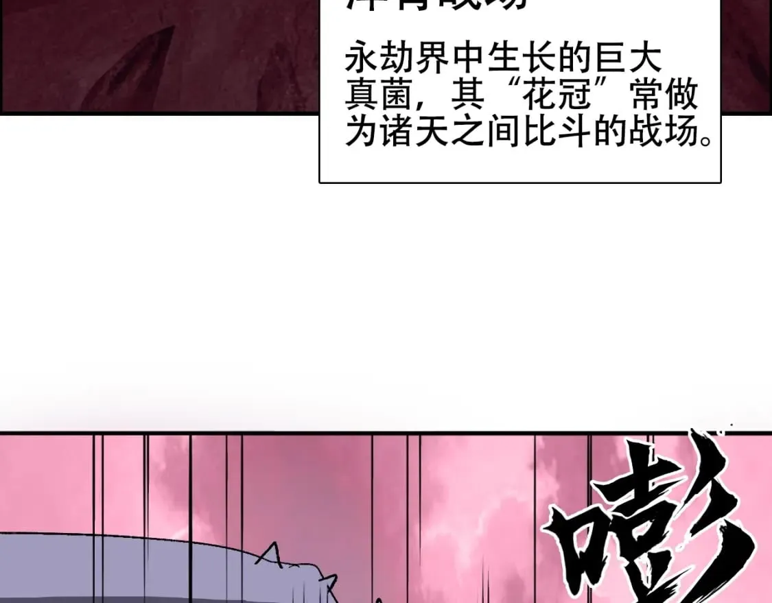 第316话 迎战善生天 第113页