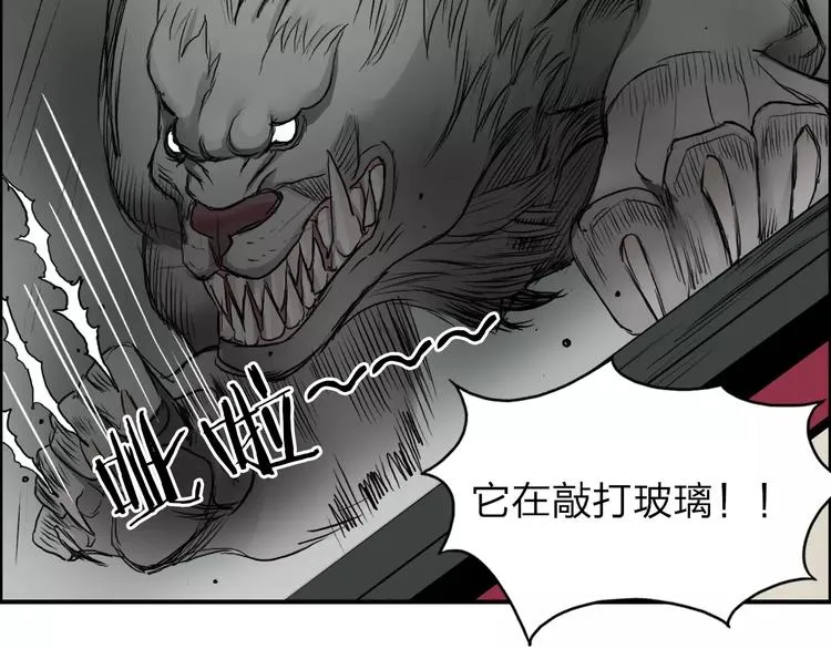 第34话 力量才是秩序 第19页