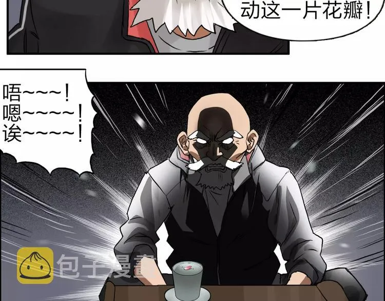 第45话 大驾光临 第29页
