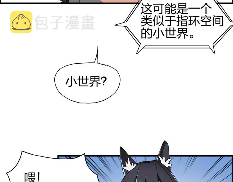 第88话 神秘之地 第13页