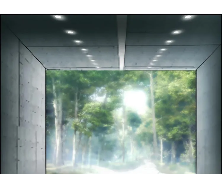 第117话 源雾森林 第103页
