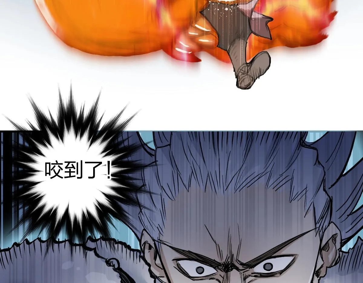第226话 莽夫的办法 第66页
