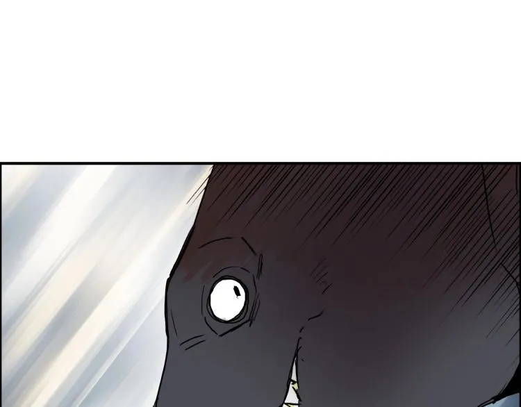 第242话 到手！是个盲盒？ 第13页