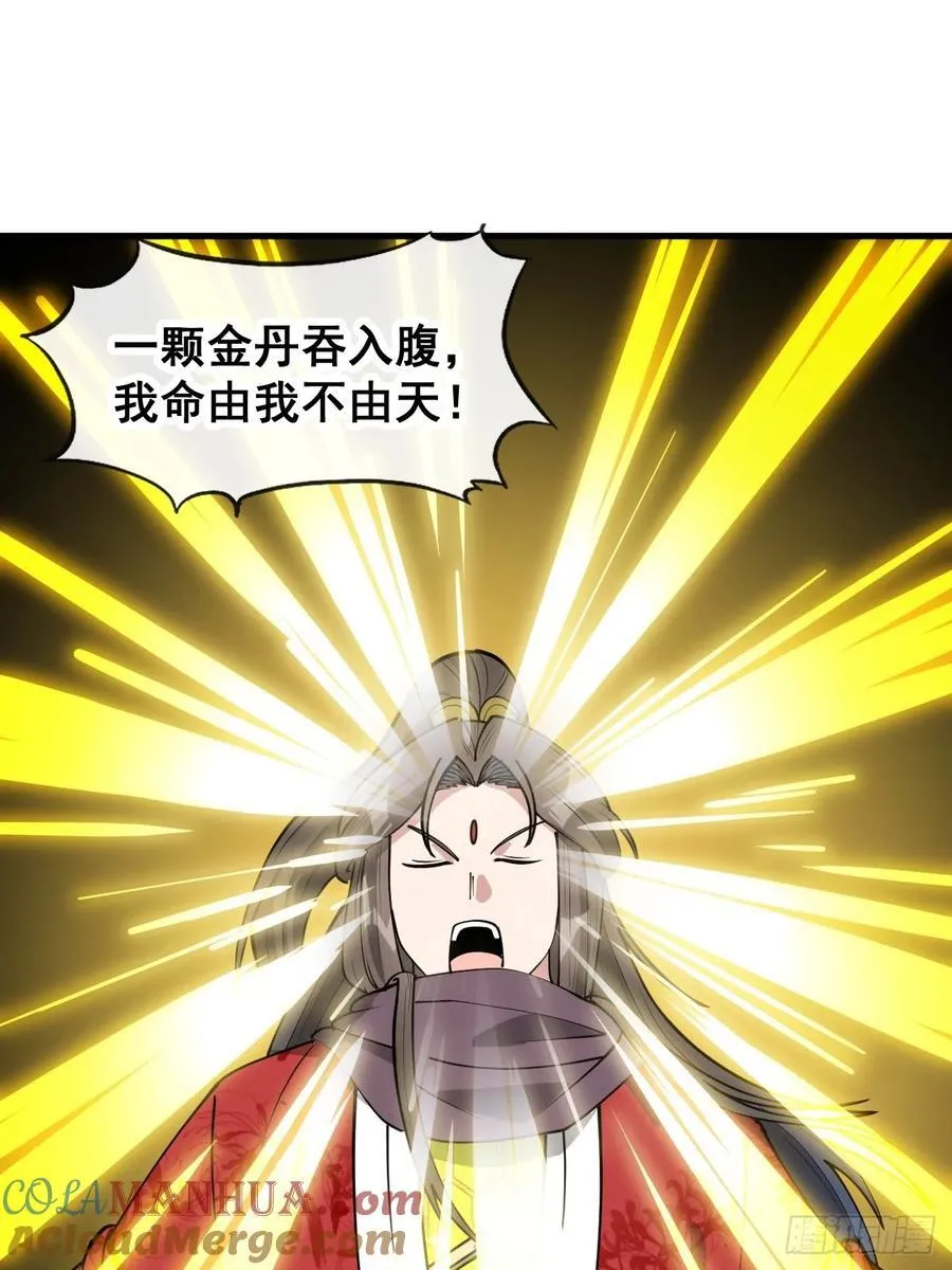 第二百三十二话：好大的金丹 第25页