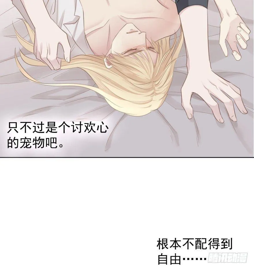 皮 第8页