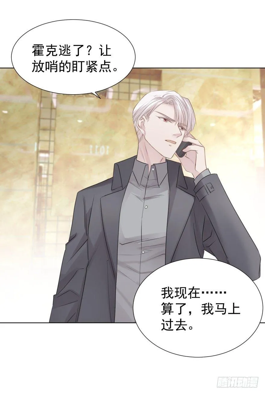 皮 第41页