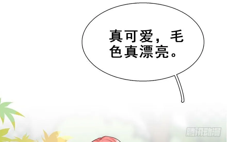 26.玩具 第58页