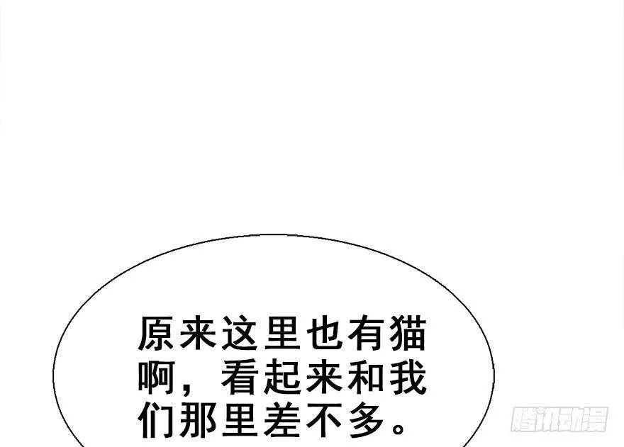 26.玩具 第65页