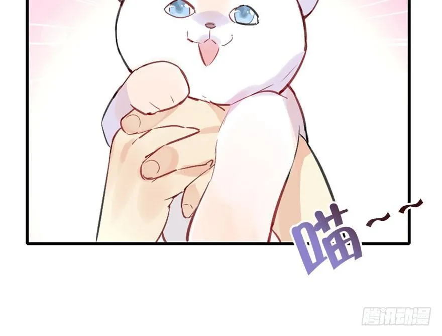 26.玩具 第69页