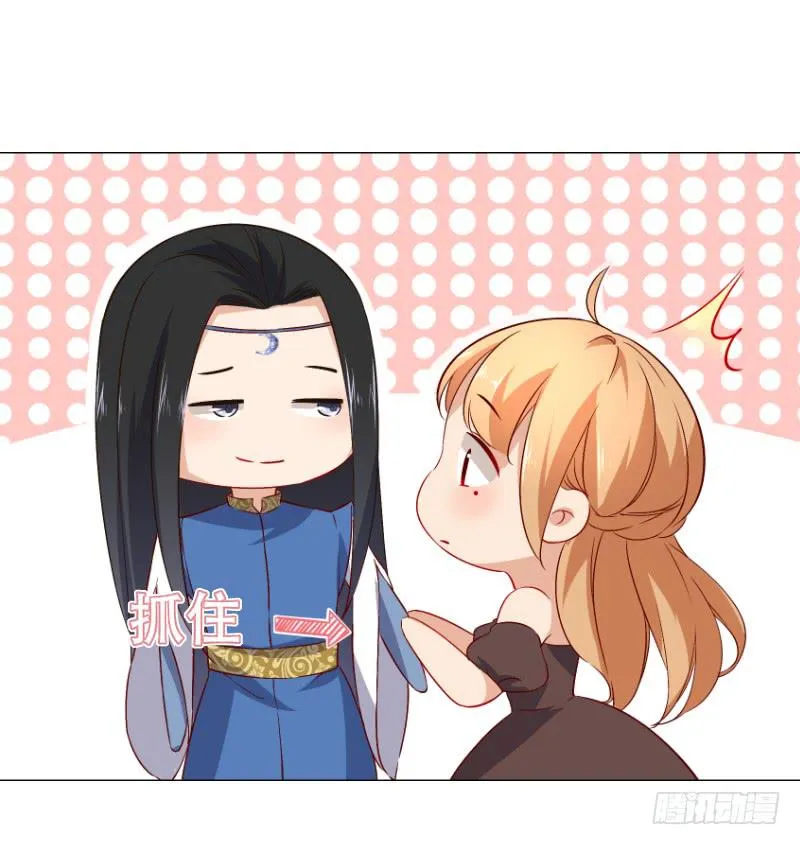 024 给你一份全家桶 第19页