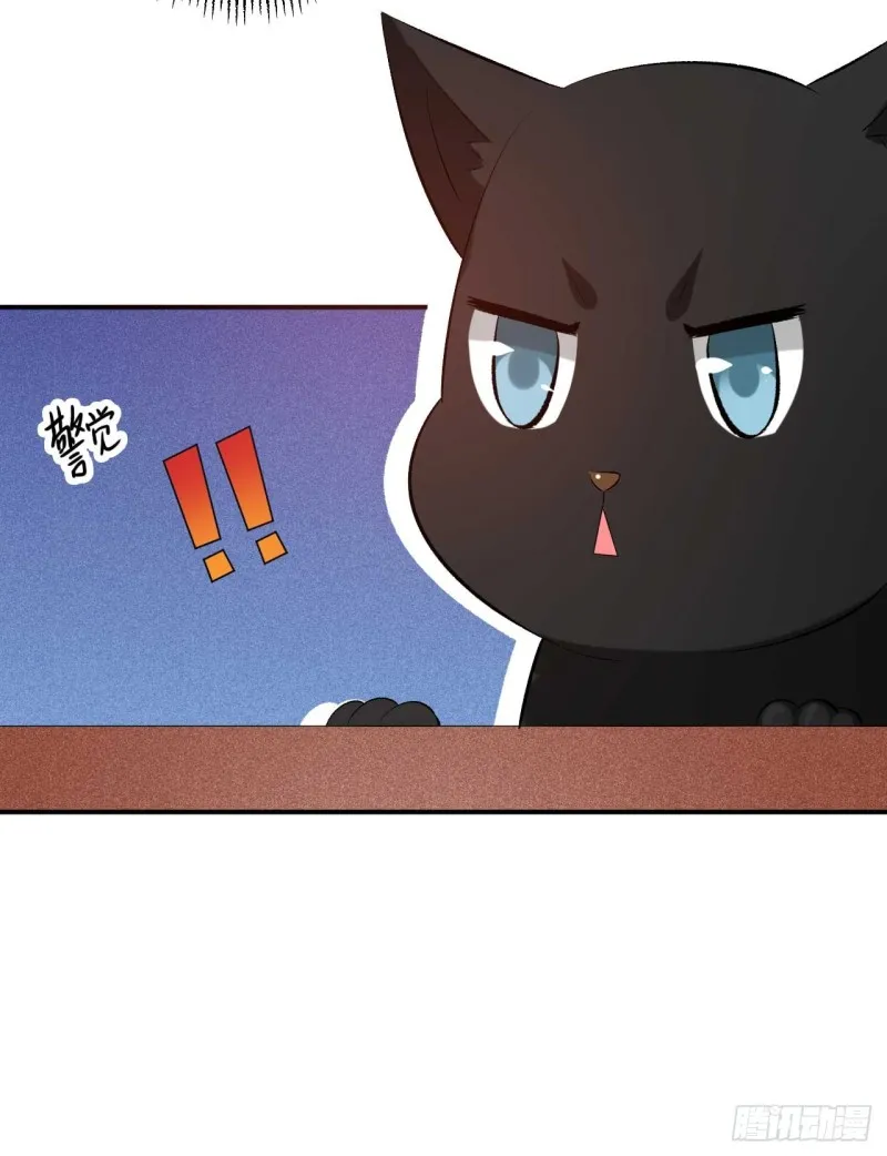 第51话 大型家暴现场 第41页