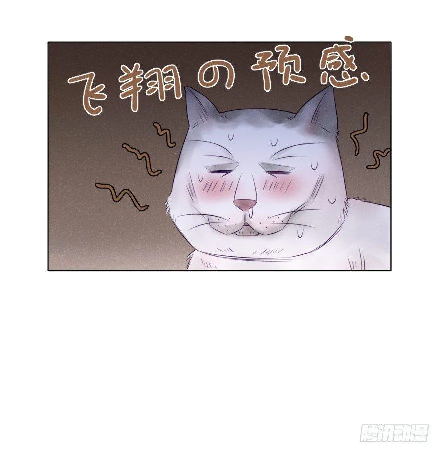 扑通 第63页