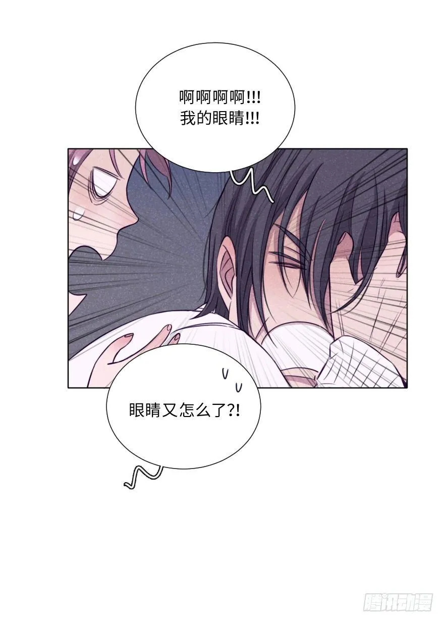 一见钟情 第20页