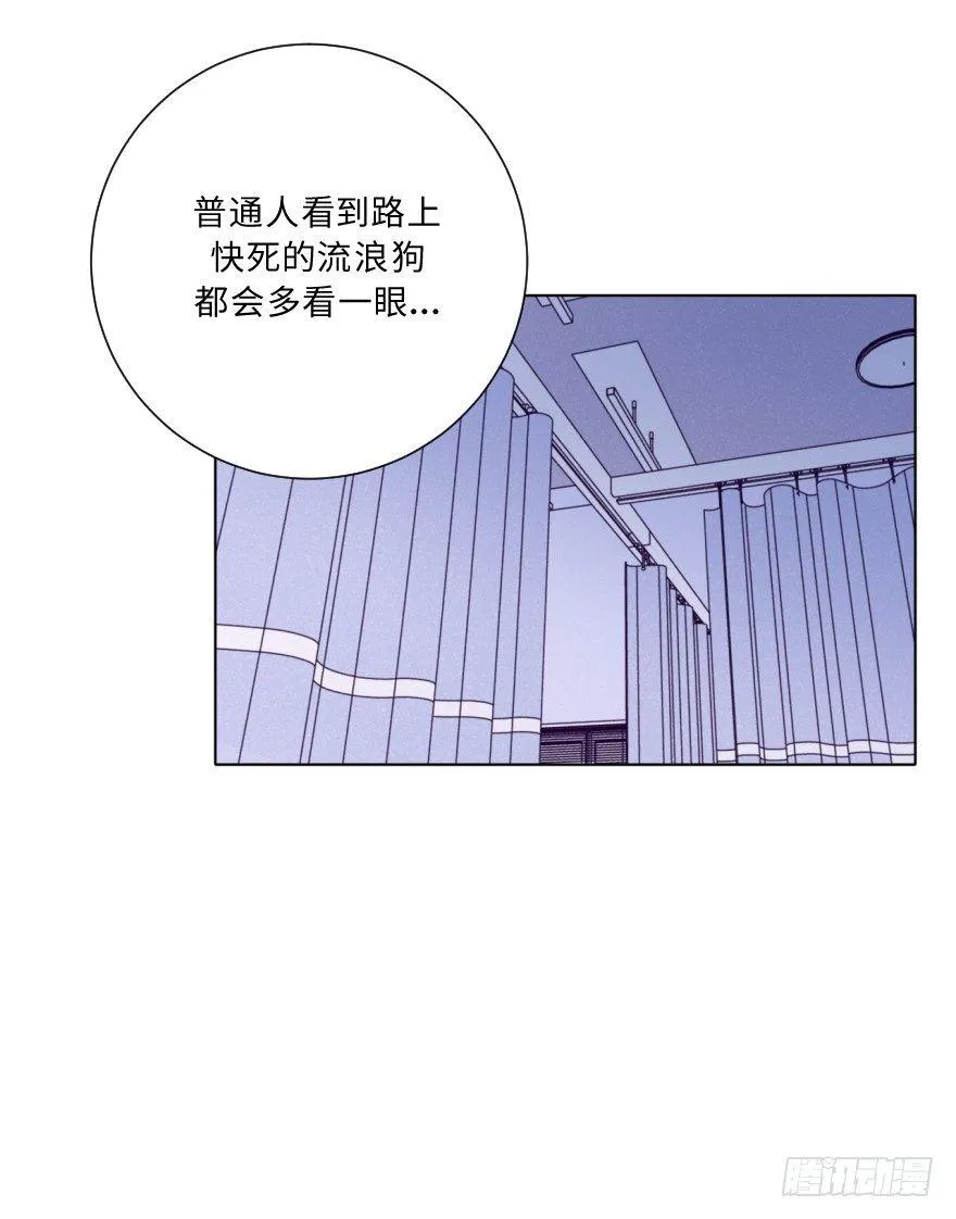 死结 第10页
