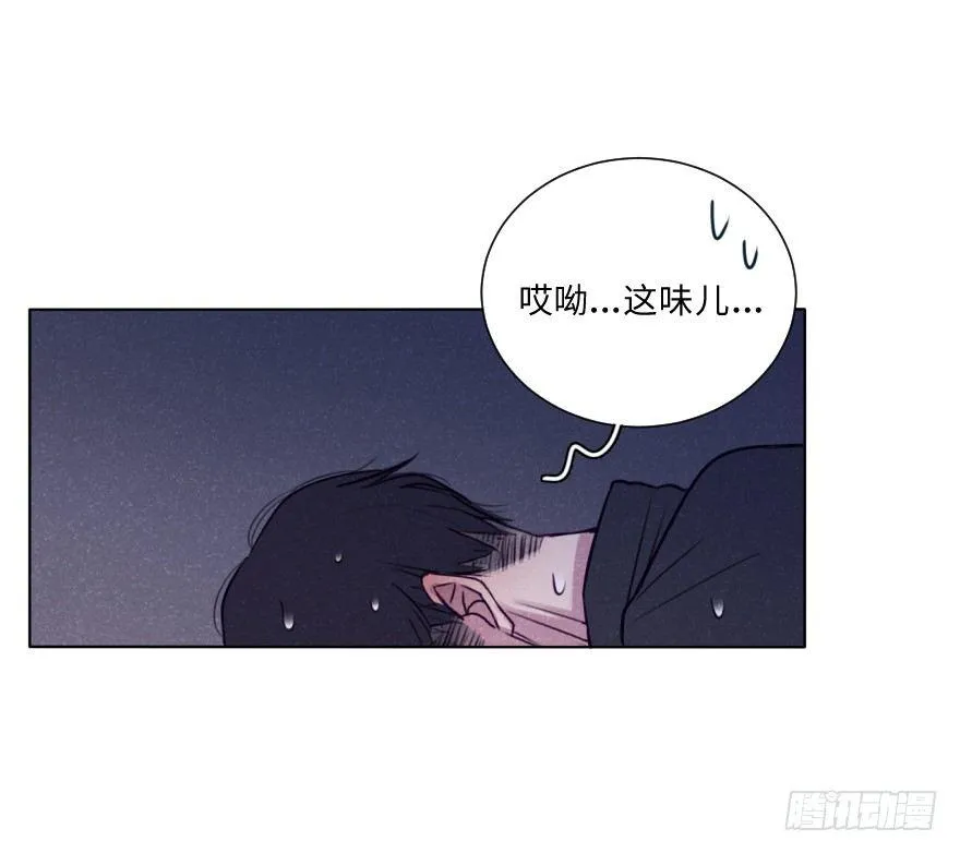 心伤 第15页