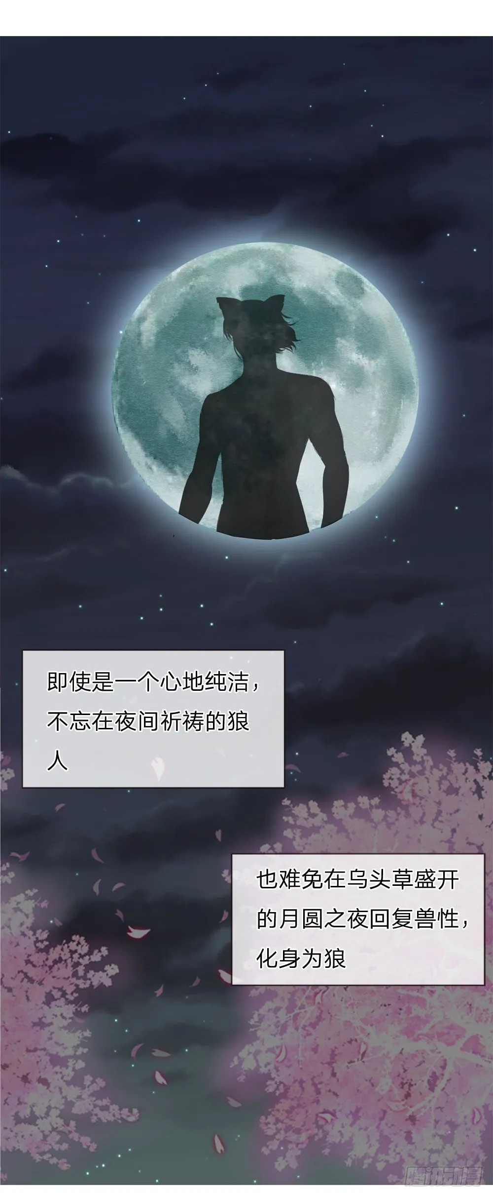 第48话 第19页