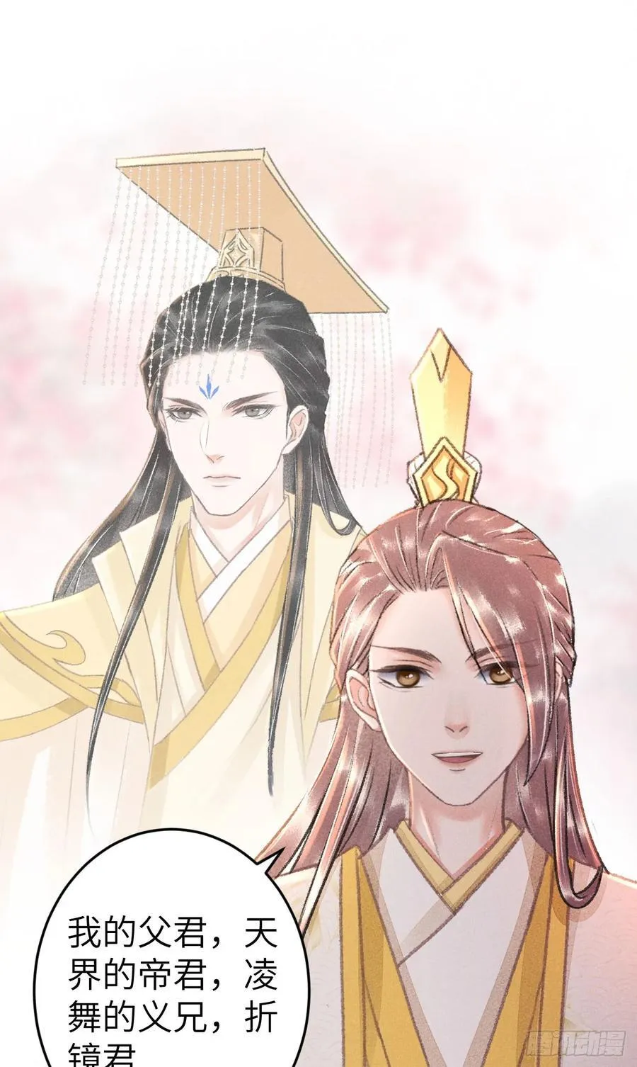 249·合作计划 第45页