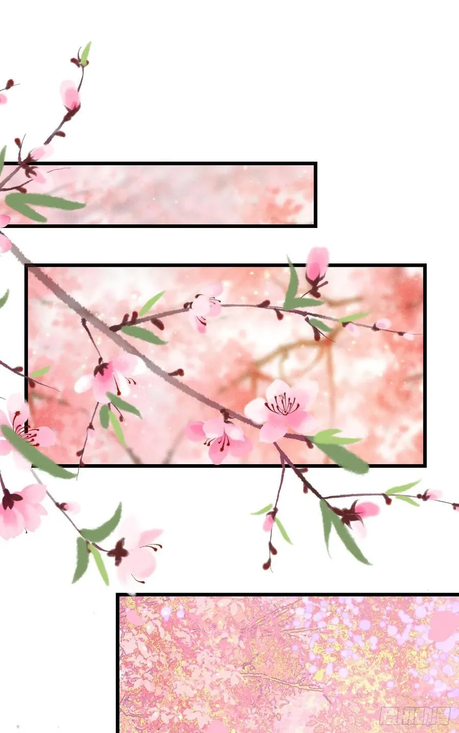 249·合作计划 第62页