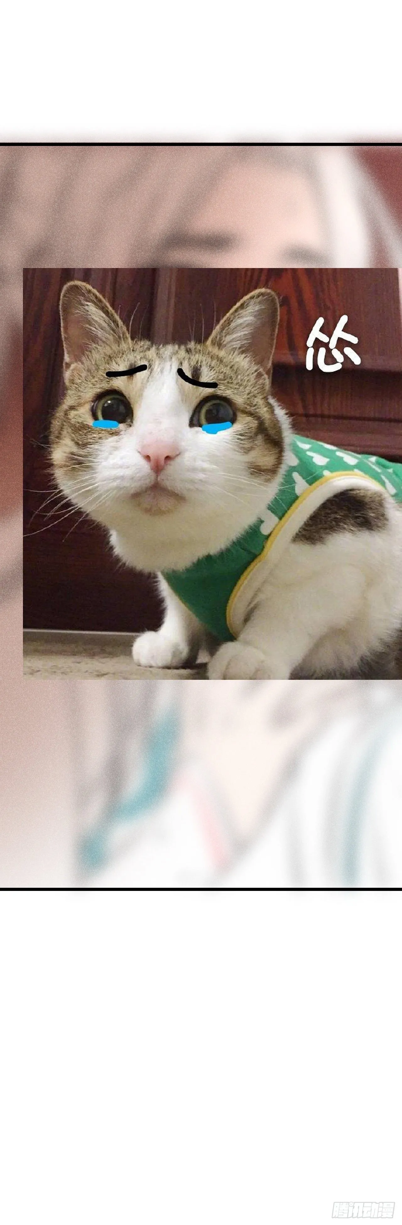 71·意乱迷情（上） 第29页