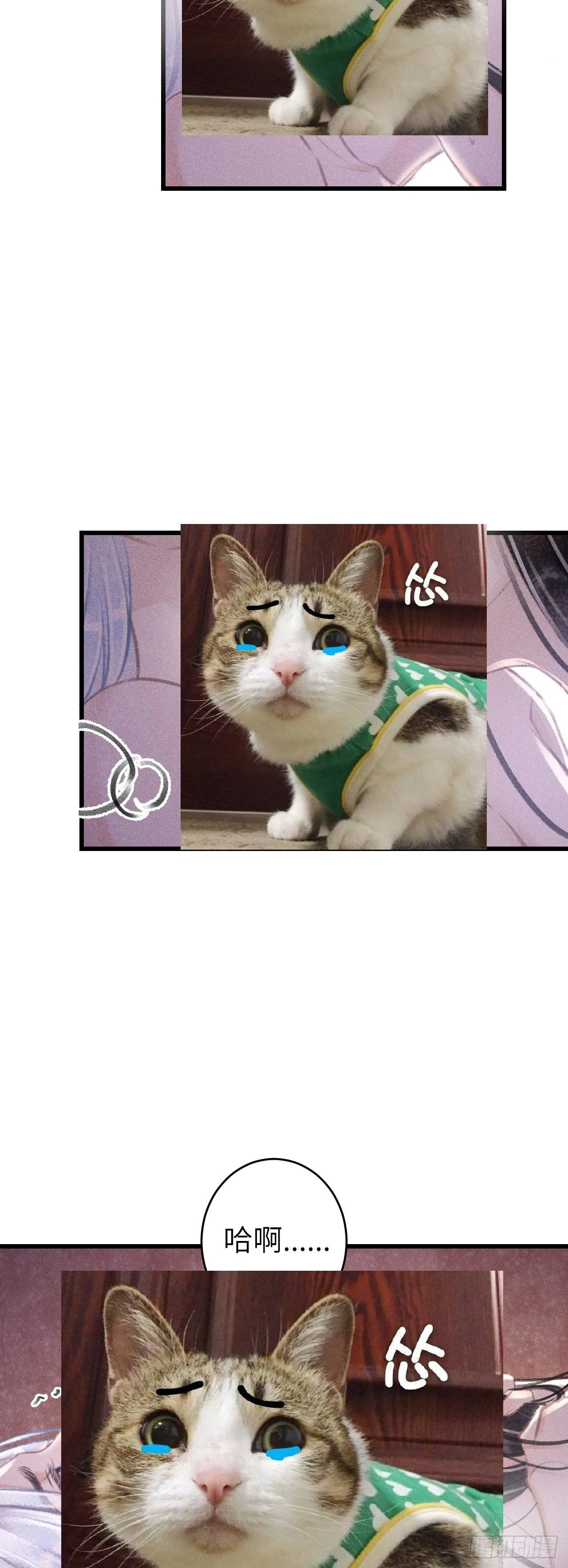 74·一梦前尘 第4页