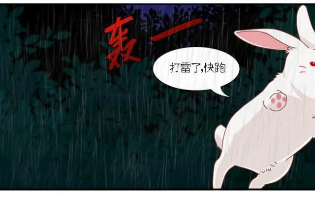 被雷击成人形 第15页