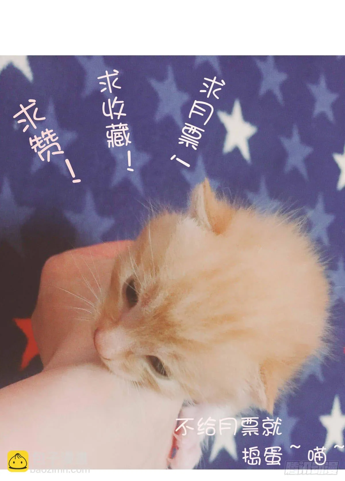 雪琪！住在我家吧 第41页