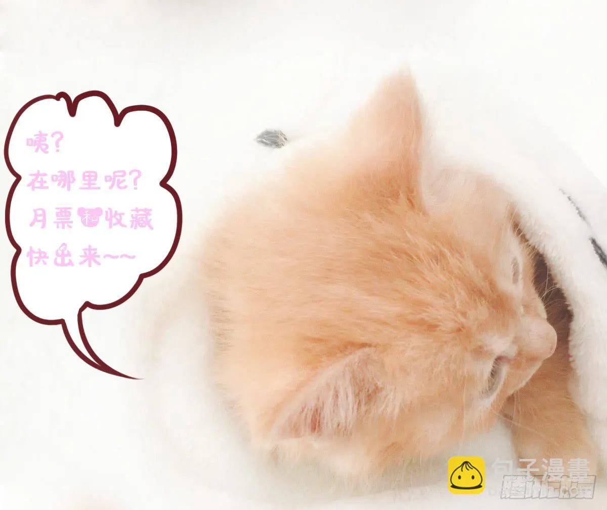 放开你的爪子 第41页