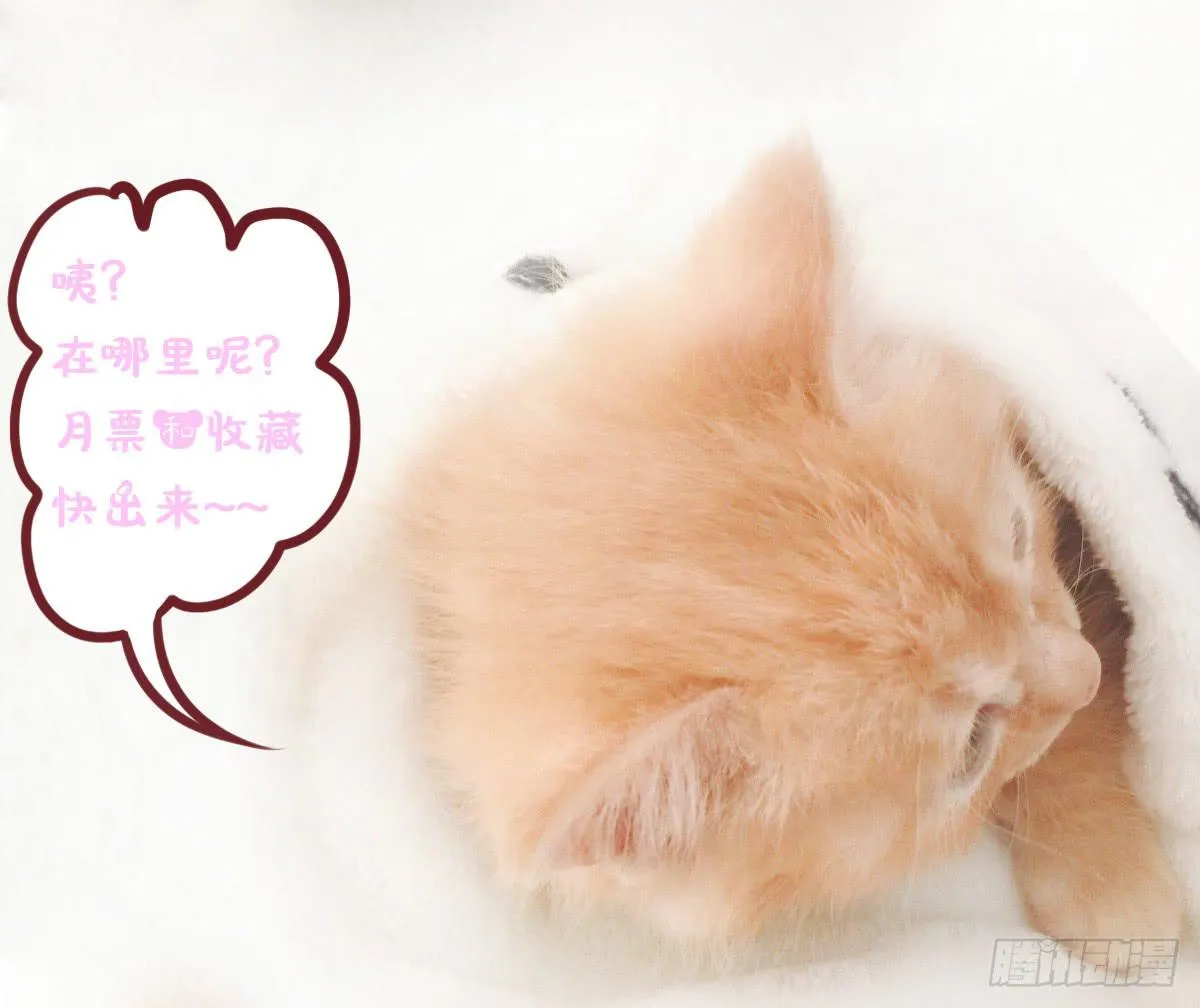 好久不见！你想我吗 第44页
