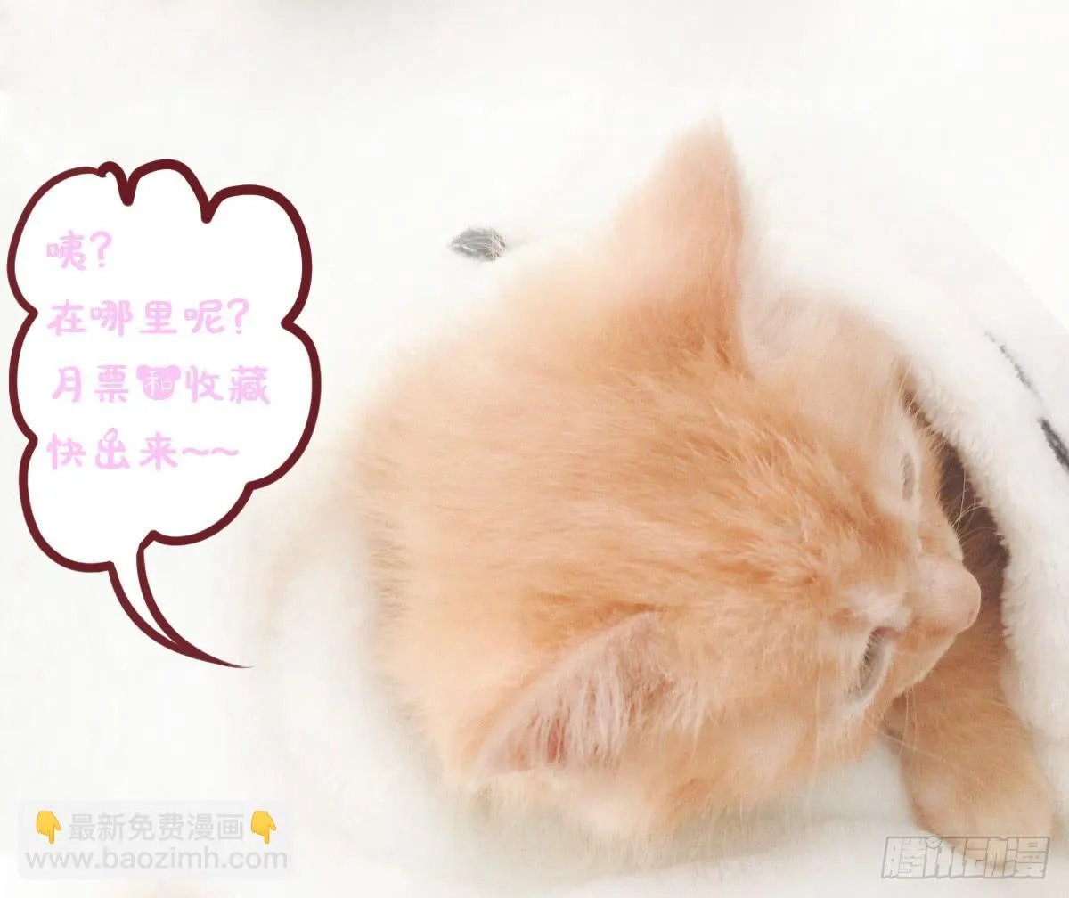 终于找到你了！我的王 第39页