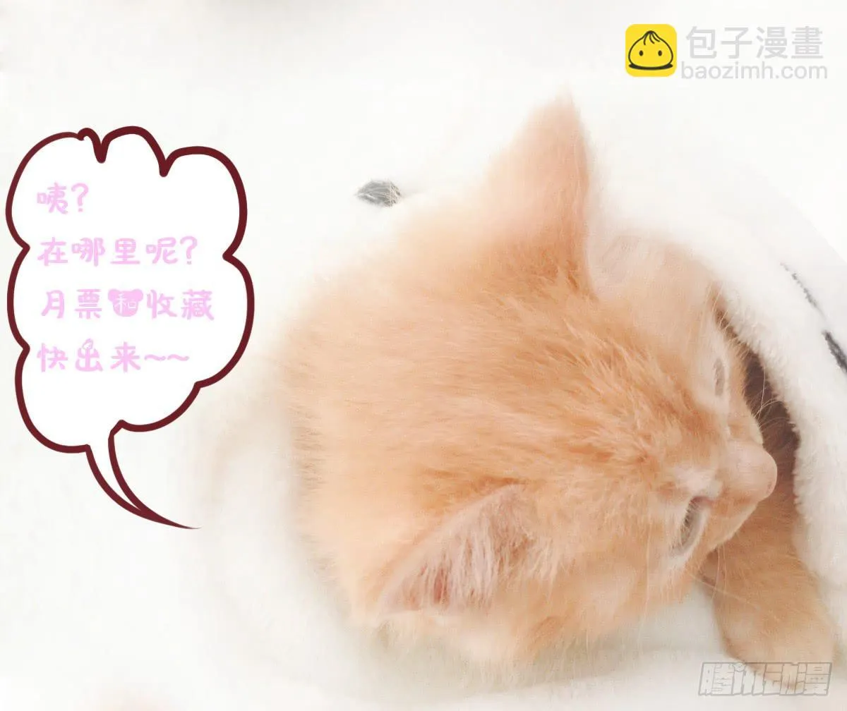 危险的气息 第46页