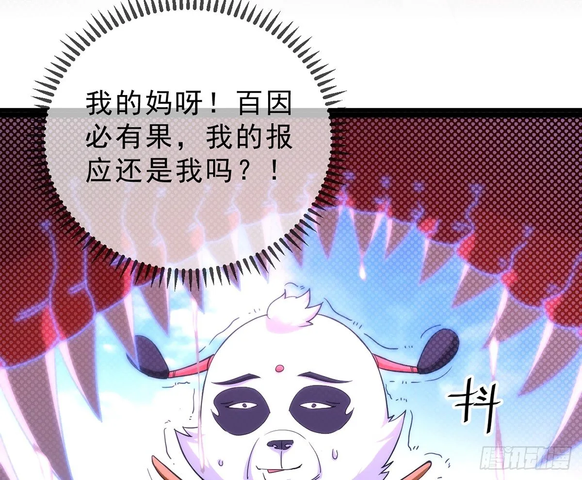 第3话 史上最悲催熊猫 第78页