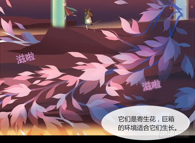 共生莲 第14页