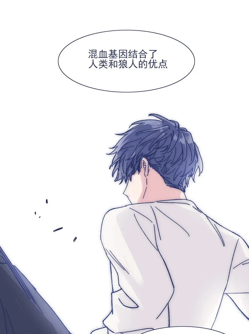 024 变强，然后保护你 第33页