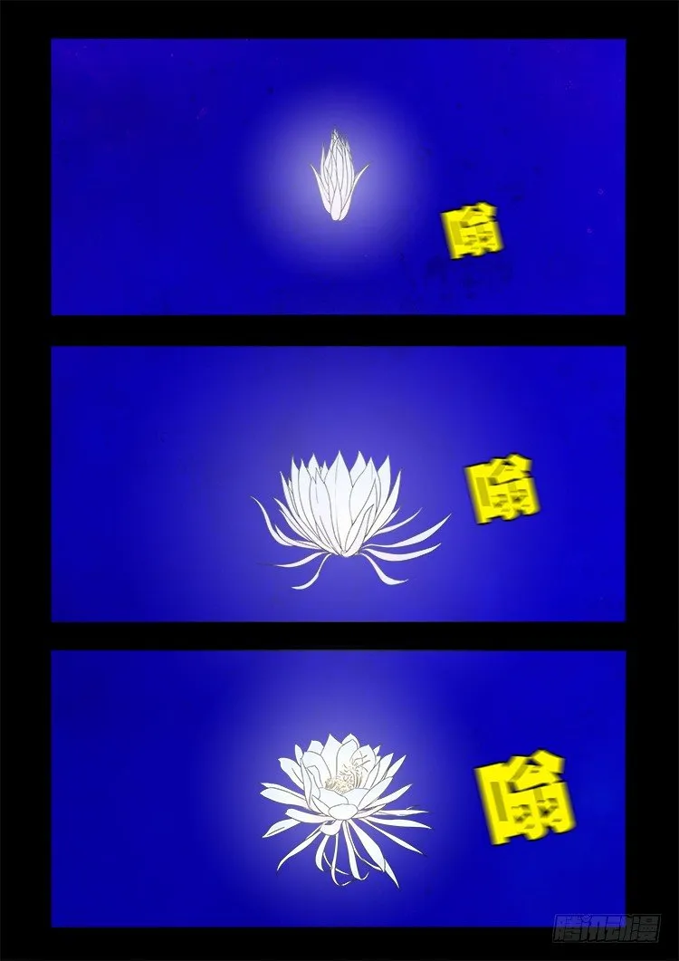 黑白红跳紫 12 第8页