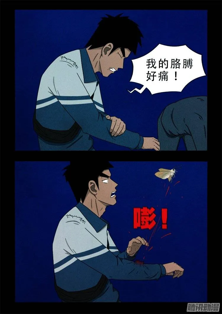 鹦鹉大厦 15 第2页
