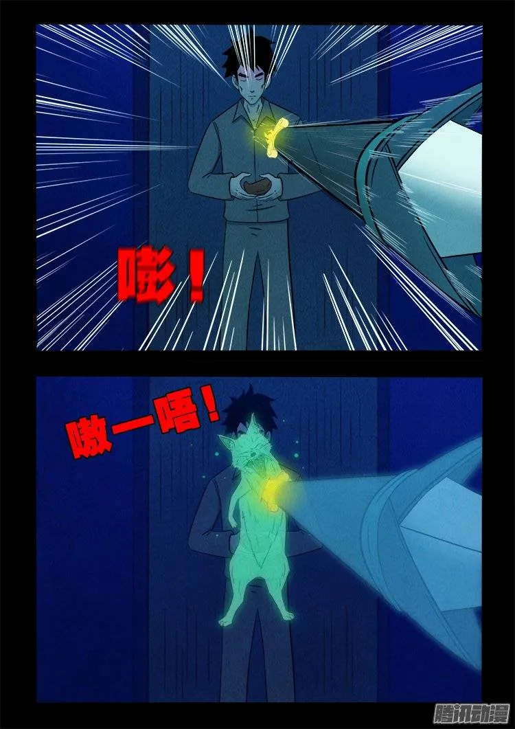 鹦鹉大厦 23 第19页