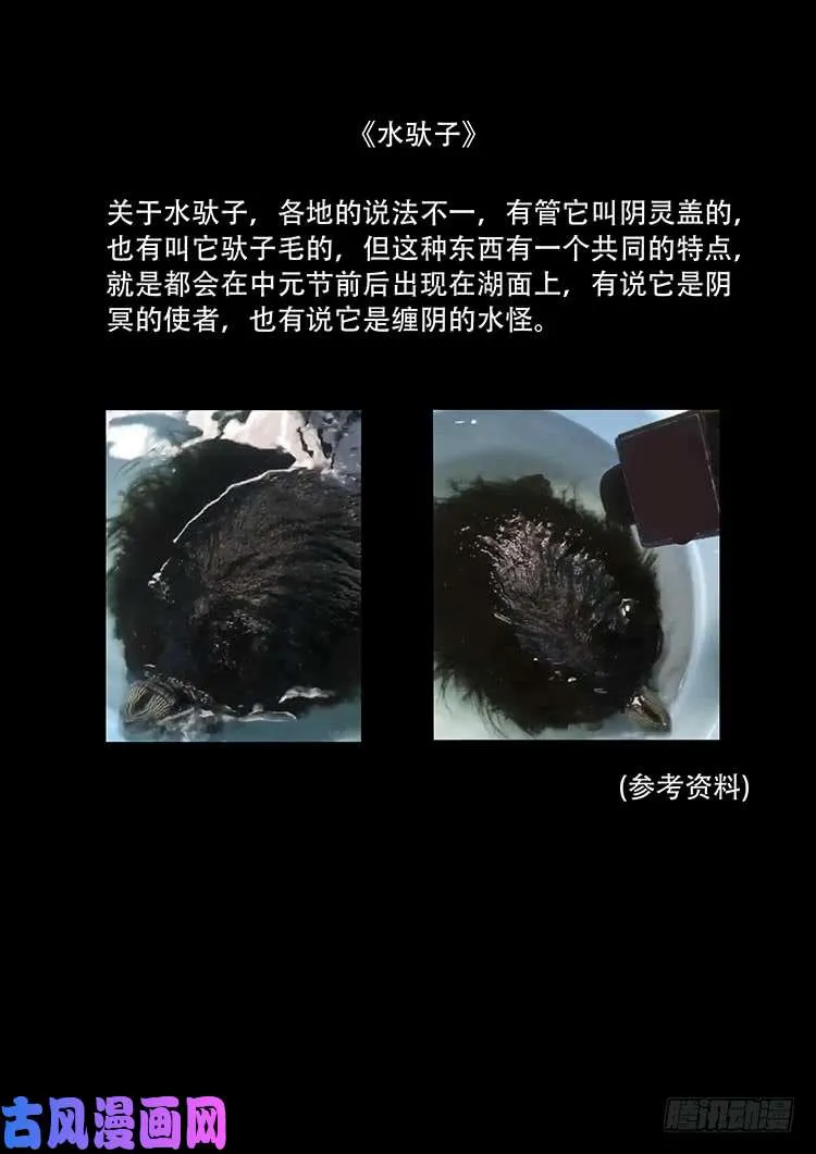水驮子 01 第25页