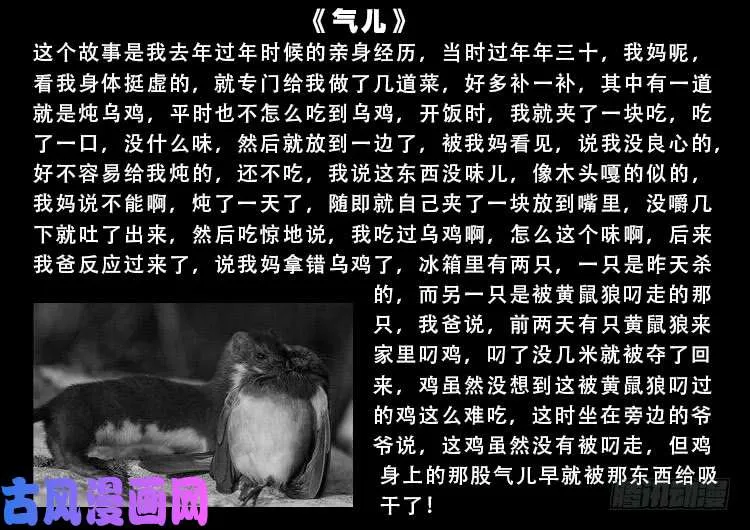道身血 01 第24页