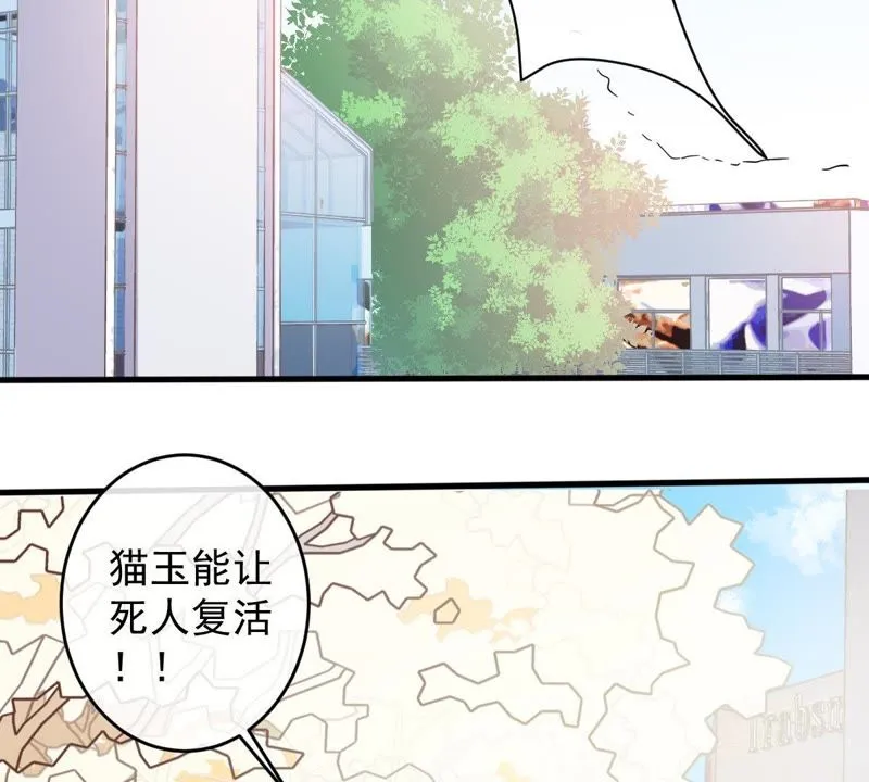 第14话 难以启齿的要求 第29页